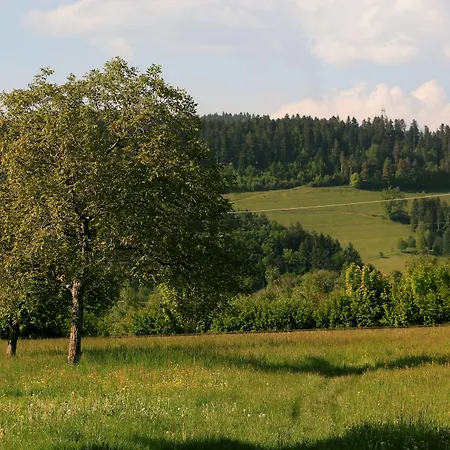 Rainhof Scheune & Naturpark Restaurant 3* Kirchzarten