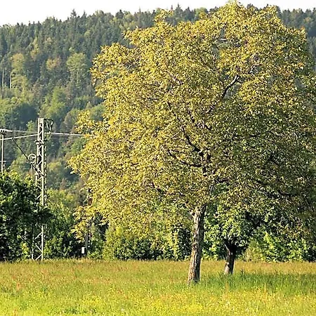 Ξενοδοχείο Rainhof Scheune & Naturpark Restaurant 3*