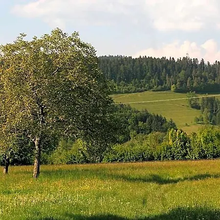 Rainhof Scheune & Naturpark Restaurant 3* Kirchzarten