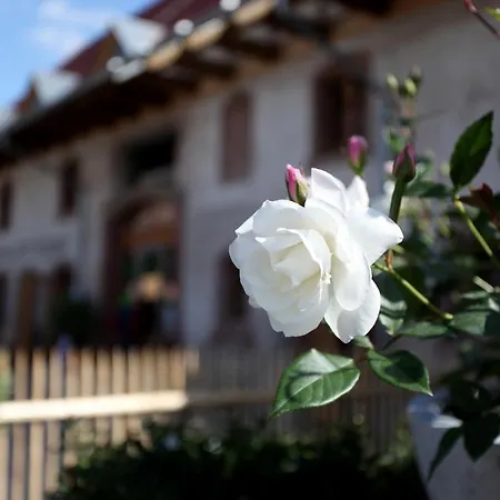 فندق Rainhof Scheune & Naturpark Restaurant كيشتزارتن