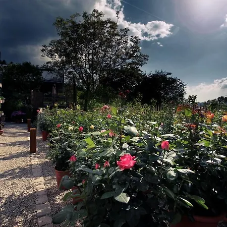 Rainhof Scheune & Naturpark Restaurant Otel Kirchzarten