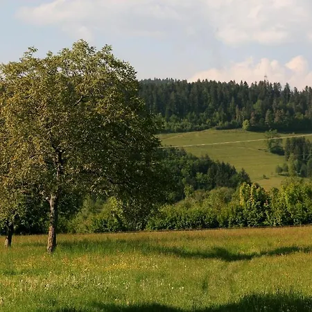 Hotel Rainhof Scheune & Naturpark Restaurant Kirchzarten