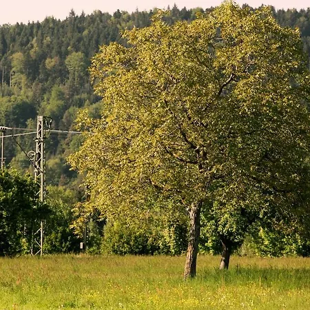Rainhof Scheune & Naturpark Restaurant 3*