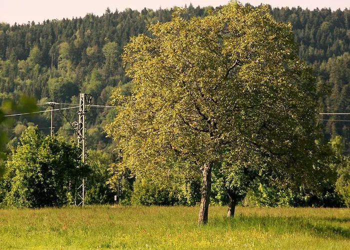 Rainhof Scheune & Naturpark Restaurant 3*